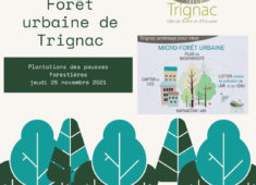 La Micro-Forêt urbaine de Trignac