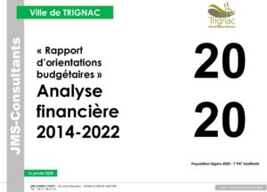 thumbnail of v1 Com Fin ANALYSE FINANCIE¦ÇRE 2020 TRIGNAC 2020