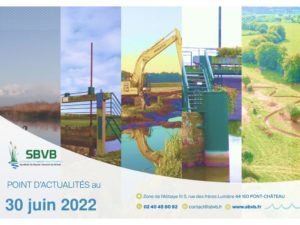 thumbnail of 2022-06-30 SBVB suivi niveaux eau