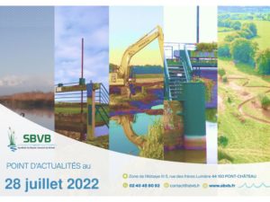 thumbnail of 2022-07-28 SBVB suivi niveaux eau