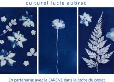 Blue Cyanotype Floral Marketing Poster