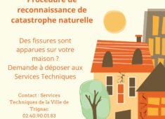 Coloré Maison Vecteur Adieu Fête Invitation