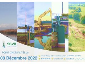 thumbnail of 2022-12-08 SBVB suivi niveaux eau