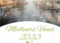 My project-1 – 2022-12-30T104003.737