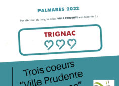 Mon projet-1 (58)