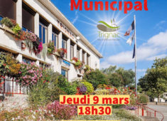 Conseil Municipal-1 (12)