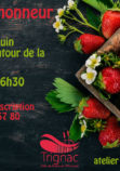Mon projet-1 (74)
