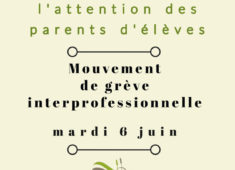 GREVE Copy-1 (8)