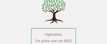 Opération « un arbre une vie » 2023