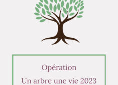 Un arbre une vie-1