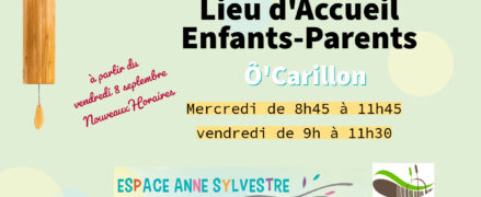 Lieu d’Accueil Enfants Parents (LAEP)