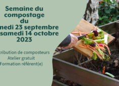 Sans titre (25)