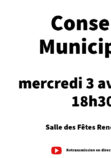 Conseil Municipal-1 (17)