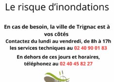 Copie de Copie de AVIS D’ENQUÊTE PUBLIQUE Par arrêté n° AR_20250120_016 du 20 janvier 2025, Monsieur le Maire de la commune de TRIGNAC a prescrit l’ouverture et l’organisation de l’enquête publiqu (1)