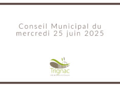 Conseil-Municipal (1)