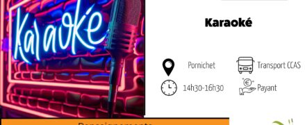 Animation sociale : Karaoké