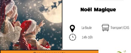 Animation sociale : Noël Magique à la Baule