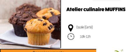 Animation sociale : atelier culinaire MUFFINS