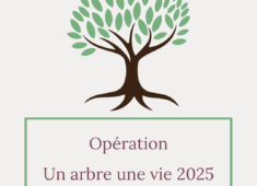 Sans titre