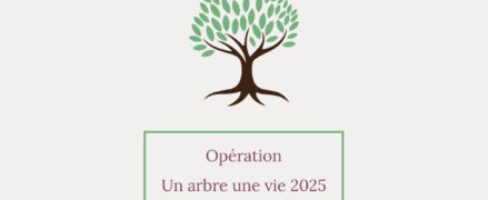 Un arbre, Une vie 2025