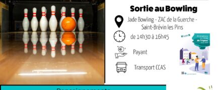 Sortie au Bowling (animation sociale)