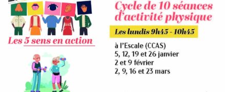 Les 5 sens en action – cycle de 10 séances d&rsquo;activité physique (pour les plus de 60 ans)