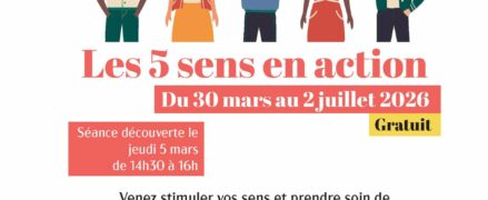 Les 5 sens en action : Séance découverte