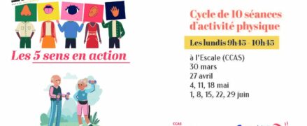 Les 5 sens en action : Cycle de séance physique