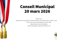 Conseil Municipal-2 (2)