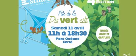 Fête de la Dis Vert Cité : 4ème édition