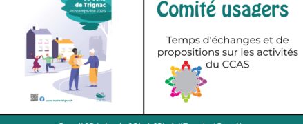 CCAS ANIMATION SOCIALE : Comité Usagers