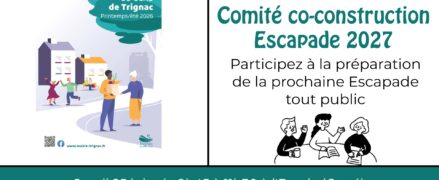 CCAS ANIMATION : Comité co-construction Escapade 2027