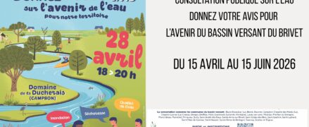 Consultation publique sur l&rsquo;eau : donnez votre avis sur l&rsquo;avenir du bassin versant du Brivet
