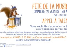 bandeau APPEL A TALENTS FDM