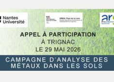 Réunion publique facebook (Bannières YouTube) (24)