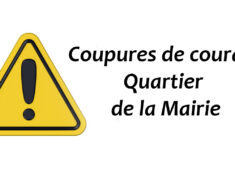 717582477_958229417040270_435086674979079219_n copie
