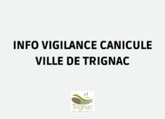 Yellow and Purple Modern Professional Corporate Culture Presentation (1920 x 1920 px) (Bannières YouTube) (13)