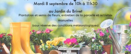 Animation sociale – Allons au jardin