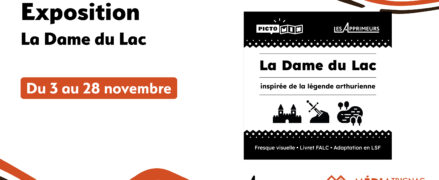 Exposition Pictodyssée : La Dame du Lac