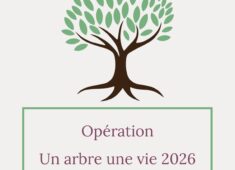 Sans titre – 15 juillet 2025 à 16.54.55