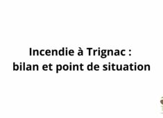 Vignettes facebook (1)