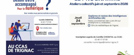 Ateliers collectifs numériques  : Explorez et testez des Intelligences Artificelles (IA)