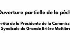 Vignettes facebook (7)