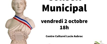 Conseil municipal