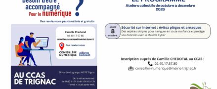 Ateliers collectifs numériques : Sécurité sur Internet : évitez pièges et arnaques