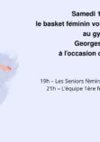 Affiche événement sportif tournoi de handball illustration bleu (Publicité Facebook)