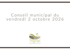Conseil Municipal-1 (6)