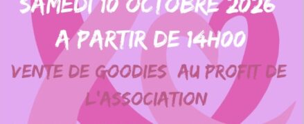Handball : Rencontres sportives à l&rsquo;occasion d&rsquo;Octobre Rose