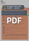 Affiche feux de forêt 44 Elevé